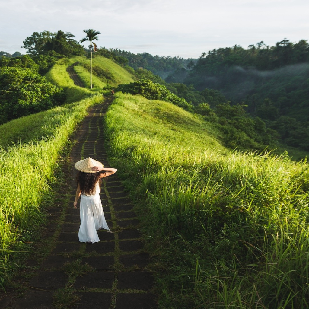 things to do in ubud