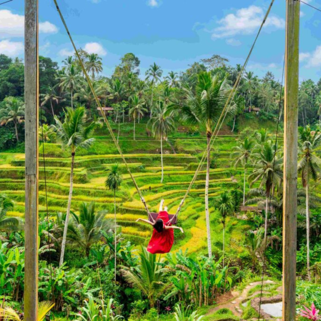 things to do in ubud