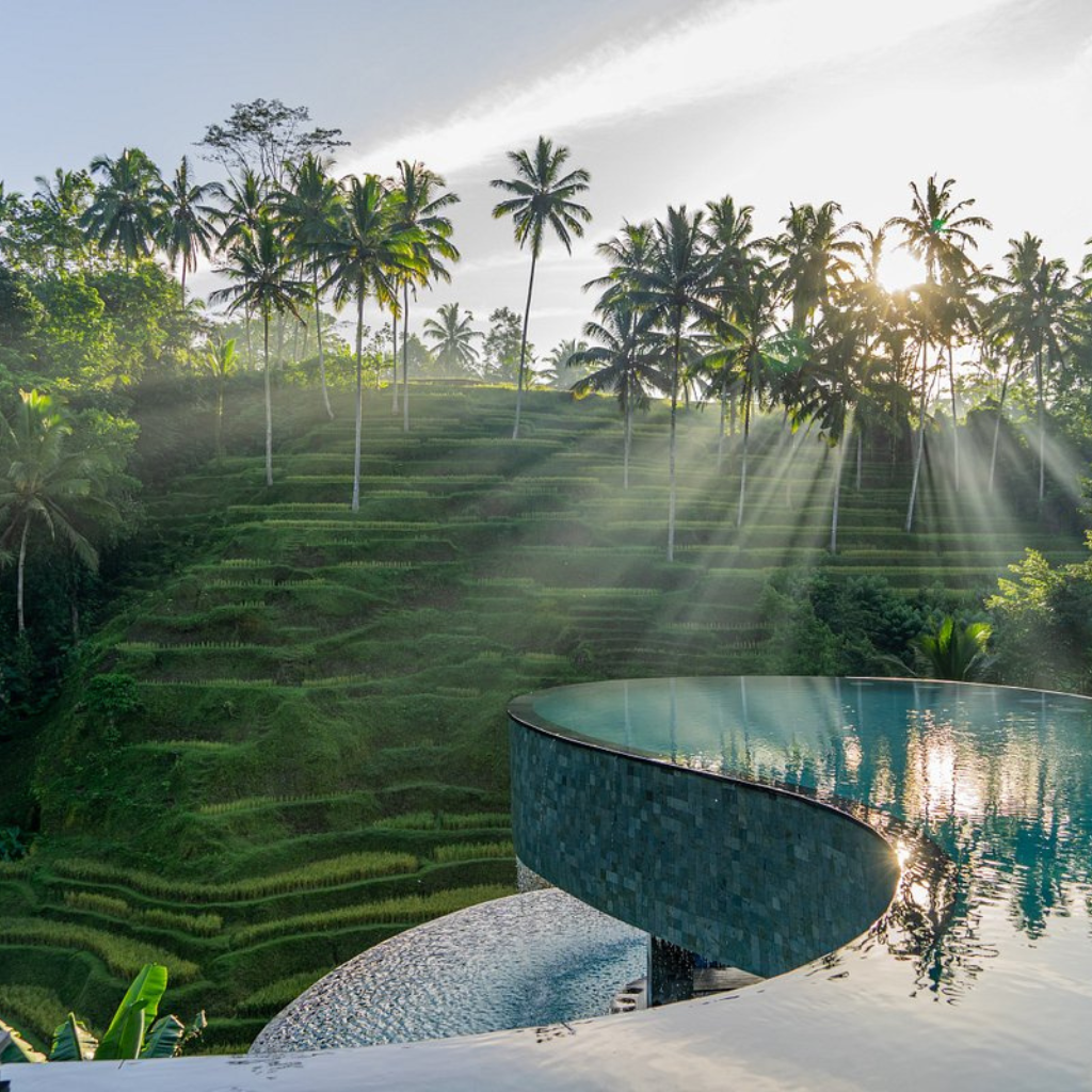 things to do in ubud