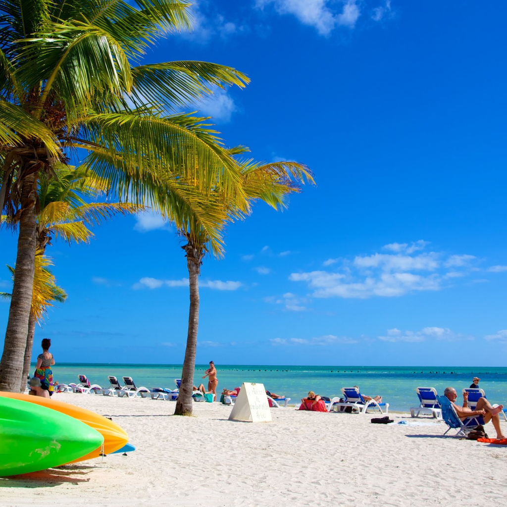 organized from varadero to havana day trip 