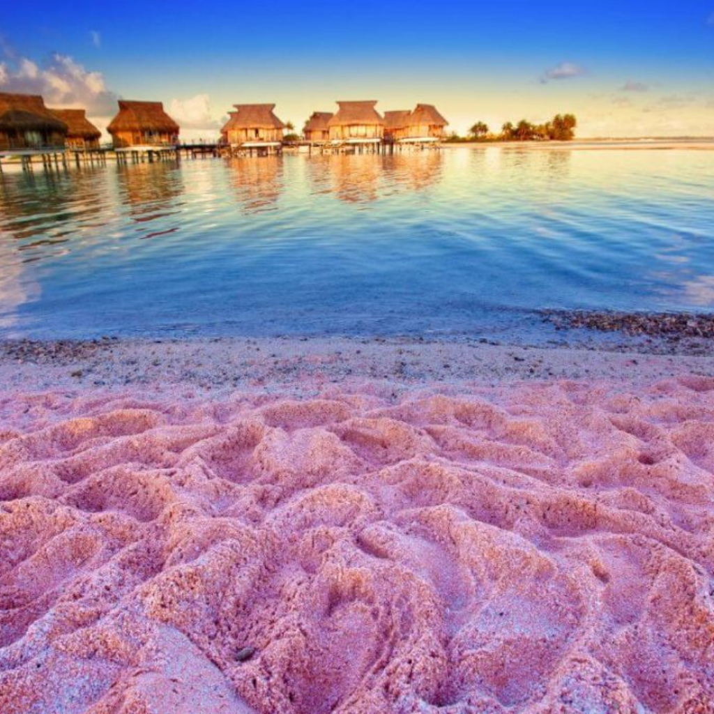 Pink Sand Clearwater Beach Florida