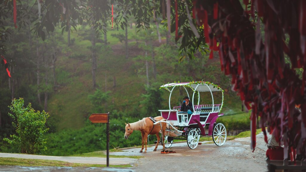 horse riding tour