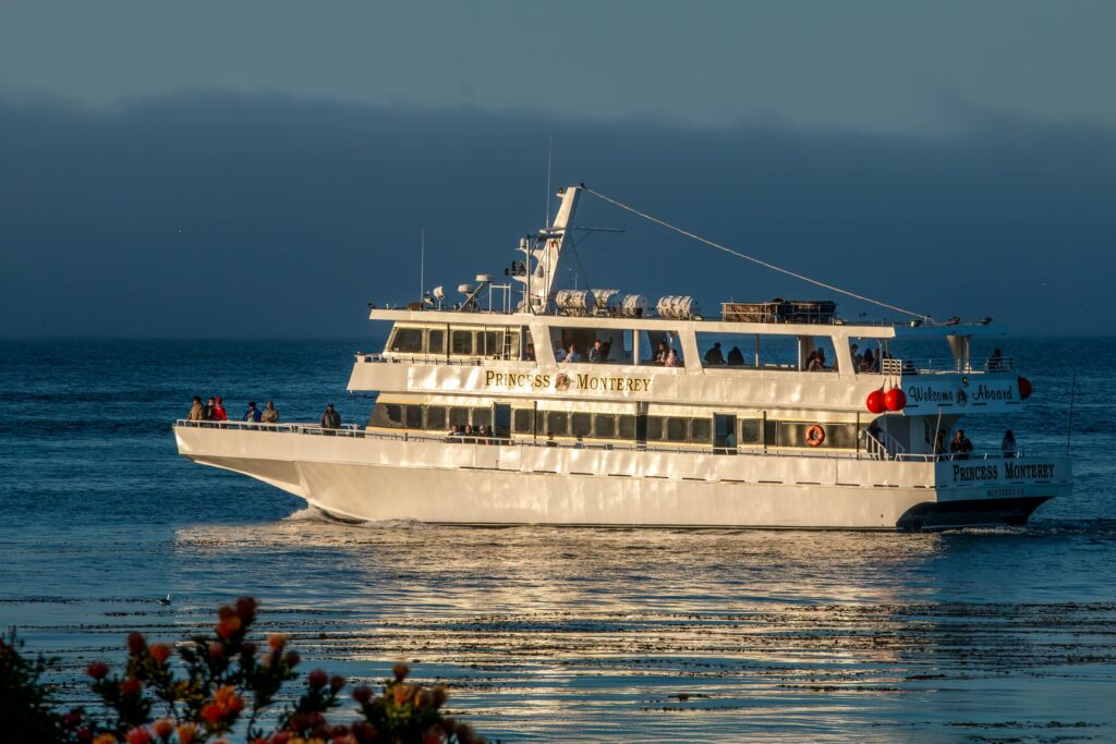 samana-whale-watching