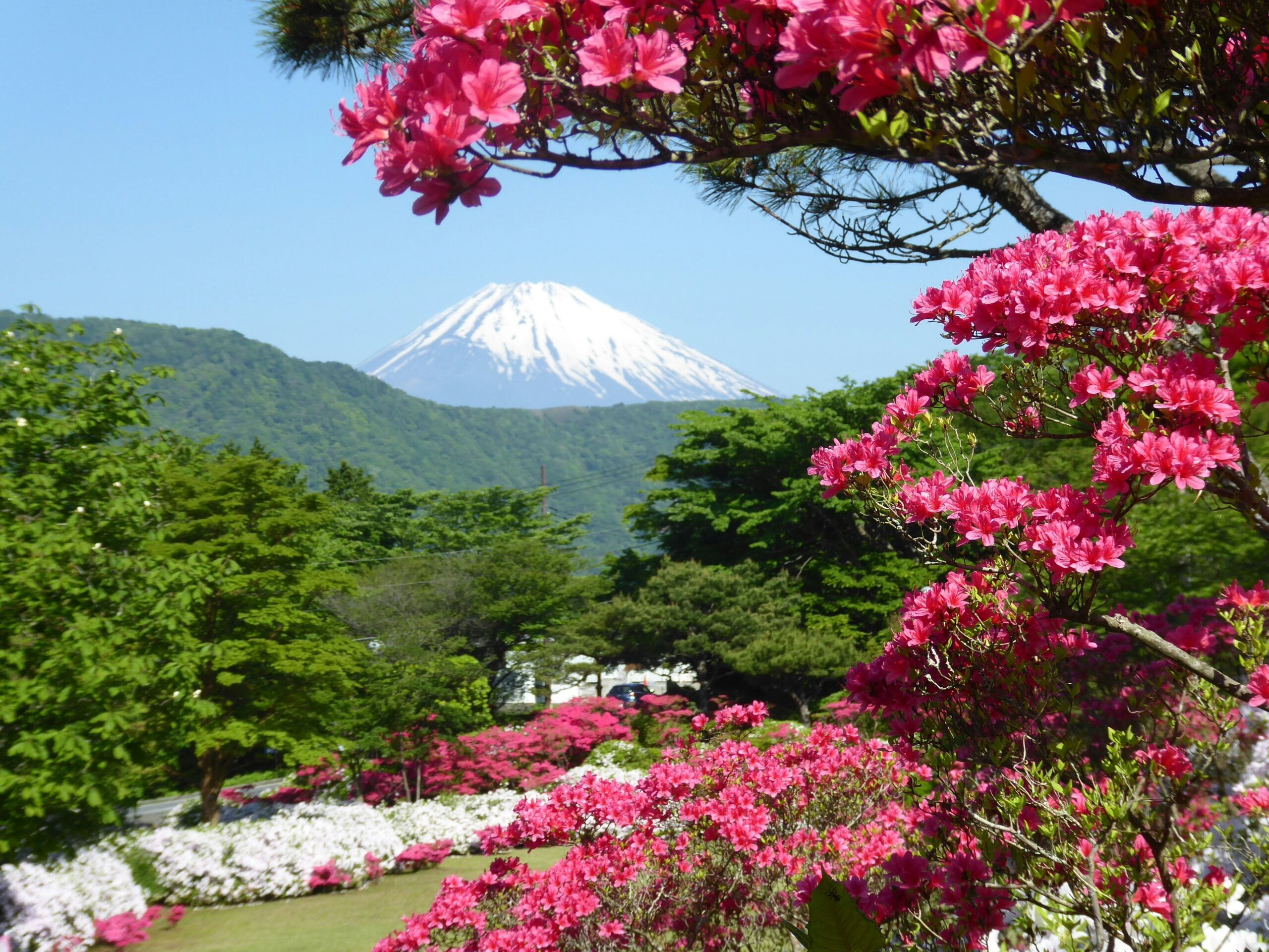 Places to visit in Japan