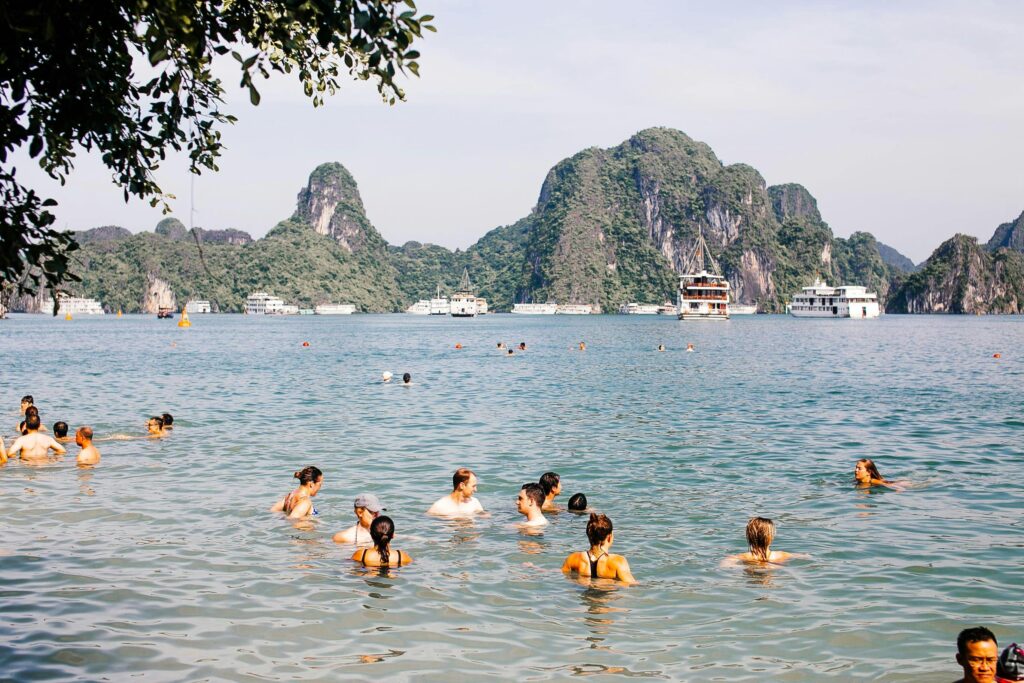 
swimming-with-stingrays