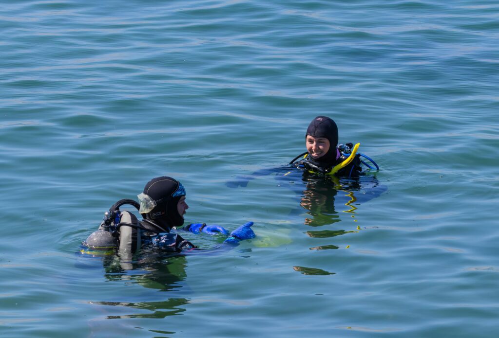 
swimming-with-stingrays